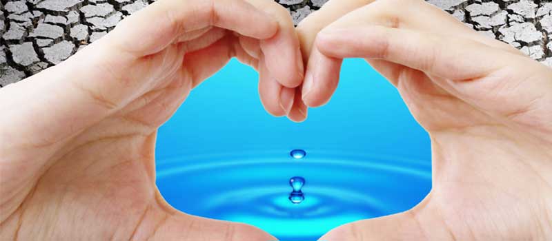 Septic Problems in Belleview, Florida