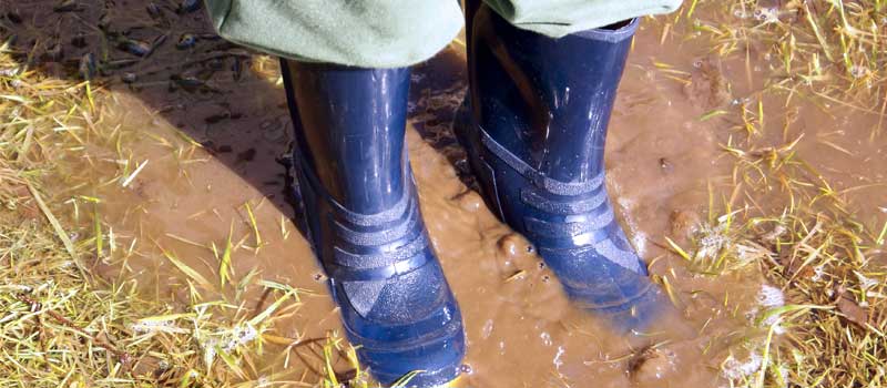 Drain Field Repair in Ocala, Florida